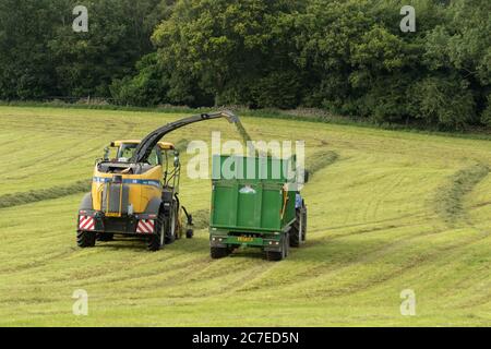 Landwirtschaftliche Fahrzeuge sammeln Silage auf einem Yorkshire-Bauernhof in England, Großbritannien Stockfoto