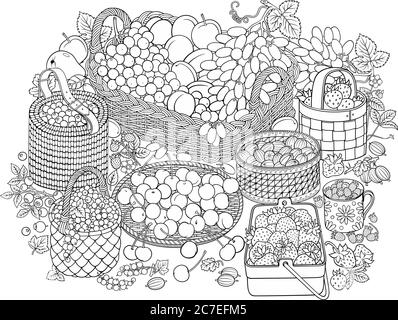 Viel Obst und Beeren in Körben Stock Vektor