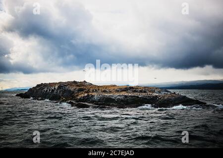 Insel der arktischen Vögel im Beagle Kanal, Ushuaia, Argentinien, Patagonien, Südamerika Stockfoto