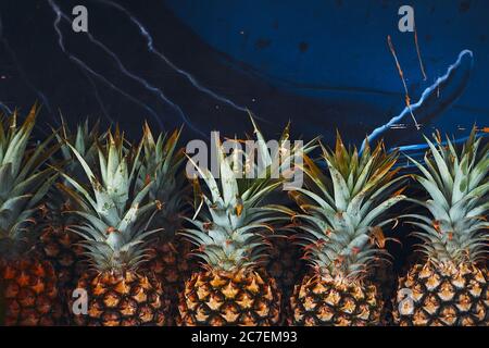 Nahaufnahme der Ananas vor einer blauen Wand ausgerichtet. Perfekt für Obstmarkt Szenarien Stockfoto