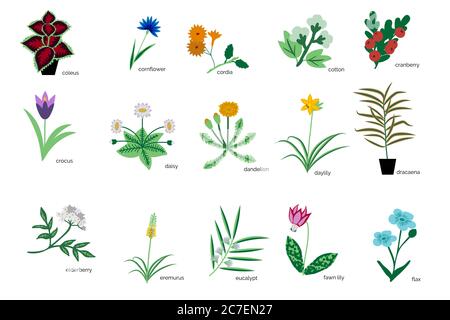 Isolierte Pflanzen Einfache Icons Sammlung Stock Vektor