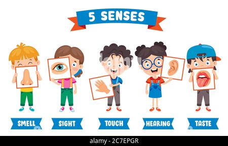 Fünf Sinne Konzept Mit Menschlichen Organen Stock Vektor