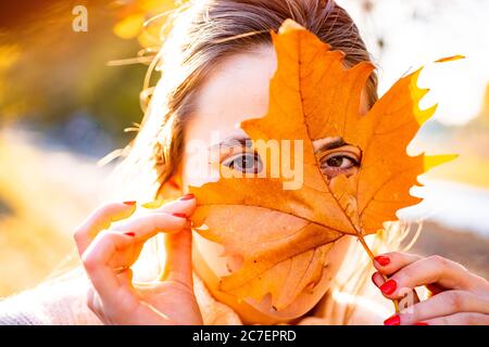 Schöne junge Frau bedeckt Gesicht mit Blatt. Nahaufnahme Porträt von schönen Mädchen Gesicht in der Nähe bunte Herbstblätter. Nette Frau hält Herbstblätter Stockfoto