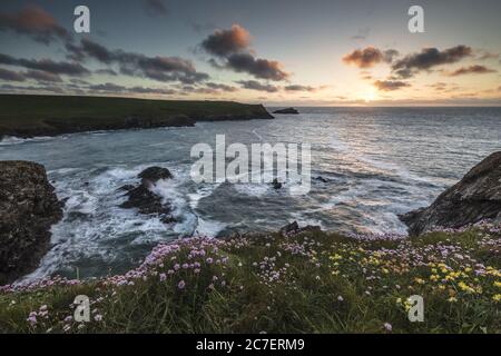 Felsformationen, Blumen und eine Klippe bedeckt mit flachem Gras am Wasser während des Sonnenuntergangs Stockfoto