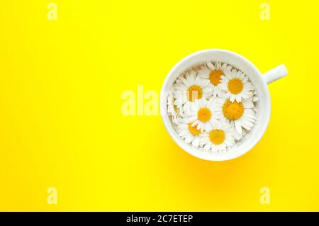 Tasse Tee mit Kamillenblüten auf gelbem Hintergrund. Platz kopieren, Draufsicht Stockfoto