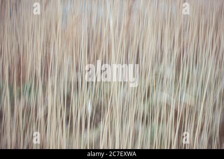 Schönes Hintergrundbild mit einzigartigen Texturen Stockfoto