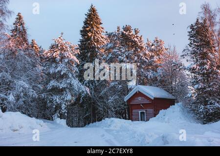 Kleine rote Hütte in einem Schnee-Bereich von Tannen umgeben Bäume mit Schnee bedeckt mit einem Hauch von Sonnenstrahlen Stockfoto