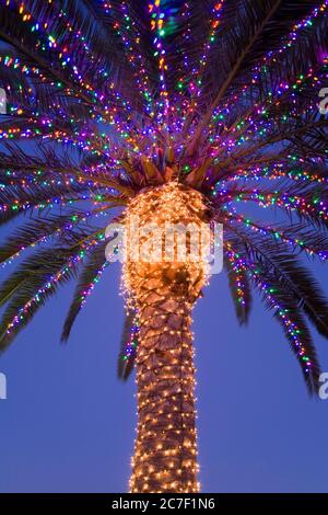 Weihnachtsbeleuchtung in der South Coast Winery, Temecula Valley Wine Country, Südkalifornien, USA Stockfoto