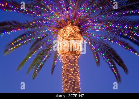 Weihnachtsbeleuchtung in der South Coast Winery, Temecula Valley Wine Country, Südkalifornien, USA Stockfoto