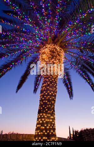 Weihnachtsbeleuchtung in der South Coast Winery, Temecula Valley Wine Country, Südkalifornien, USA Stockfoto