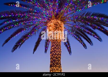 Weihnachtsbeleuchtung in der South Coast Winery, Temecula Valley Wine Country, Südkalifornien, USA Stockfoto