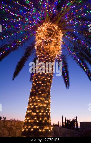 Weihnachtsbeleuchtung in der South Coast Winery, Temecula Valley Wine Country, Südkalifornien, USA Stockfoto