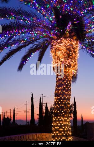 Weihnachtsbeleuchtung in der South Coast Winery, Temecula Valley Wine Country, Südkalifornien, USA Stockfoto