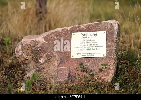 Leisnig, Deutschland. Juni 2020. Ein Schild auf einem Stein weist auf eine Kupferbuche zu Ehren Friedrich Olbrichts hin. 76 Jahre nach dem Attentat auf Adolf Hitler kämpft die Stadt Leisnig darum, den Geburtsort des führenden Komplizen zu erhalten. Das denkmalgeschützte Gebäude, in dem der spätere Wehrmachtsgeneral 1888 geboren wurde, steht seit Jahren leer und ist vom Verfall bedroht. Da das Haus jedoch in Privatbesitz ist, kann die Stadt es nicht renovieren. (To dpa 'Key Figure in the Hitler Attentat - Olbrichts Geburtsort verfällt') Credit: Jan Woitas/dpa-Zentralbild/dpa/Alamy Live News Stockfoto