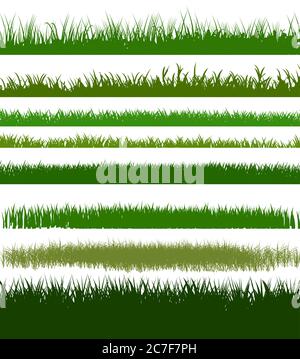 Kräuter und Kräuter isoliert Vektor. Setzen. Rasen und Wiesenvegetation. Grüne Pflanzen. Horizontales Hintergrundbild. Designelemente. Frühling Sommer. Stock Vektor