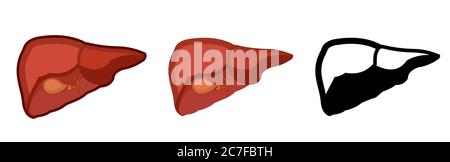 Gesunde menschliche Leber. Ganz. Setzen. Farbbild und monochromes Symbol. Eine Serie von Illustrationen zu den inneren Organen. Isoliertes Vektorobjekt auf einem weißen Stock Vektor