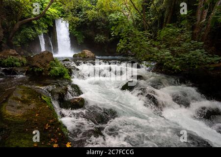 Hermon Stream Natur Reservat (Banias) Golanhöhen Israel dieser Stream ist eine der Quellen des Jordans Stockfoto