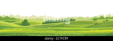 Ländliche Hügel Landschaft Vektor Hintergrund auf weiß. Weide Gras für Kühe. Wiesen und Bäume. Horizont. Stock Vektor