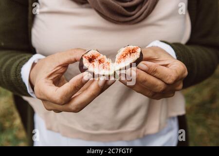 Zwei Hälften einer frischen, saftigen und süßen roten und violetten Feige frisch vom Baum gepflückt, in den Händen der Frau haltend Stockfoto