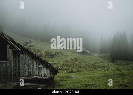 Alte Holzhütten auf grünen Wiesen des Tales genannt Planini pri jezeru während der nebligen regnerischen Tag in slowenischen Bergen - Julischen alpen. Stockfoto