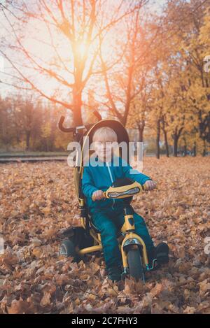 Blonde junge auf einem gelben Dreirad. Herbstpark. Gelbes Laub, sonniger Tag Stockfoto