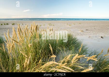 Strand mit Sanddünen und Marram Gras in sanftem Sonnenaufgang Sonnenuntergang Licht. Skagen Nordstrand, Dänemark. Skagerrak, Kattegat. Stockfoto