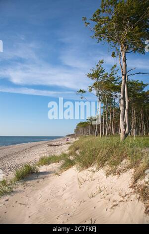 Deutschland, Mecklenburg-Vorpommern, Weststrand an der Halbinsel Fischland-Dars. Stockfoto