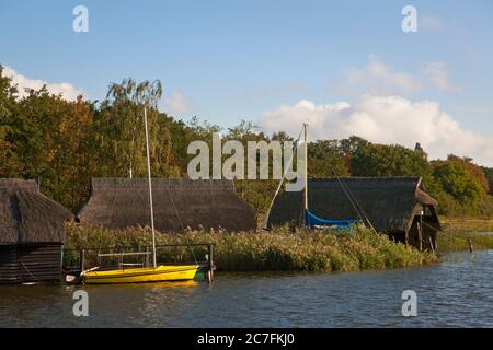 Deutschland, Mecklenburg-Vorpommern, am Prerow-Gusch, Ostseebad Pre. Stockfoto