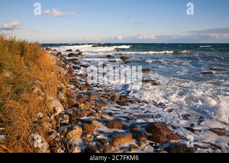 Deutschland, Schleswig-Holstein, Strand auf dem Staberhuk, Insel Fehmarn. Stockfoto