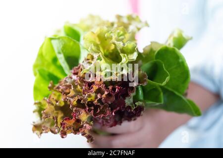 Gesundes vegetarisches Abendessen. Frau und halten mit frischem Salat Stockfoto
