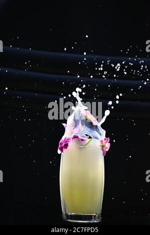 Schöne Nahaufnahme Foto von Wasser spritzen mit Blumen und schwarzem Hintergrund. Stockfoto