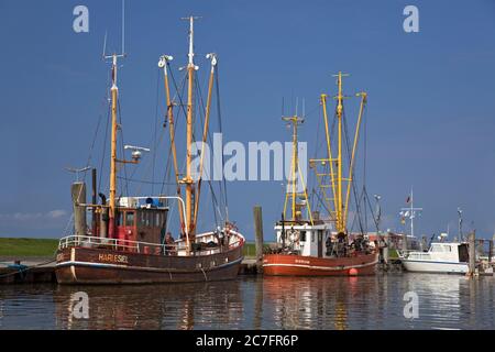 Deutschland, Niedersachsen, Garnelenboot im Hafen von Dorum, Dorum-Neufeld, Wurst. Stockfoto