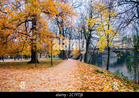 Ein erwachsener Mann, der an einem typischen Herbsttag in Prag, Tschechien, in einer Bank in einem Park mit gelbem Laub sitzt Stockfoto