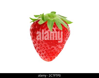 Reife frische Erdbeere isoliert auf weißem Hintergrund. Studio Aufnahme von Beere mit Clipping Pfad. Stockfoto