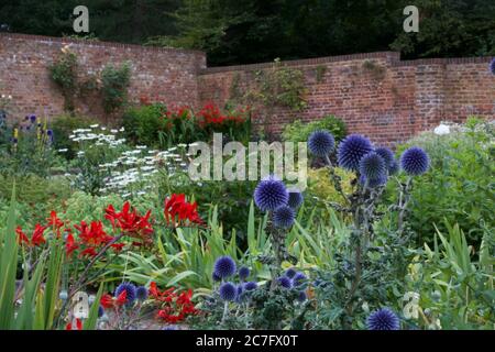 Wunderschöne orange und lila Blumen in englischen ummauerten Cottage Garten Stockfoto