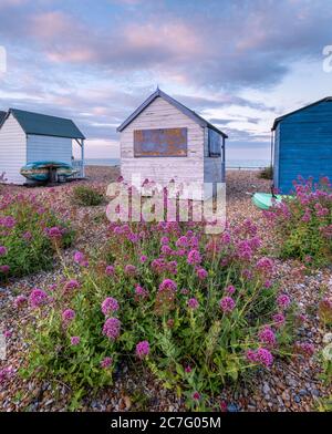 Strandhütten am Kingsdown Strand nahe Deal mit roten Baldrian Blumen im Vordergrund. Stockfoto