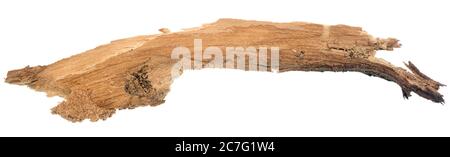 Verfaultes Holz auf weißem Hintergrund isoliert Stockfoto