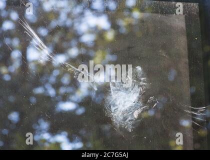 Impressum Eindruck eines Vogels, der in die Glastür des Hauses fliegt und im Juli in Bournemouth, Dorset UK, einen Federstaub hinterlässt Stockfoto