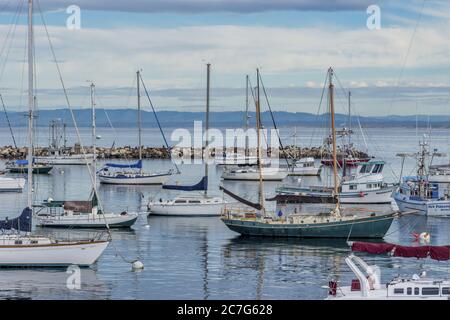 MONTEREY, CA, USA - 12. Jan 2019: Ein Hafen voller Schiffe unter dem wolkenlosen Himmel in Monterey, Kalifornien, USA Stockfoto