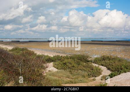 Essex Küste Strand, Blick auf die wilde Landschaft entlang des Strandes bei Bradwell-on-Sea mit der Schwarzwassermündung in der Ferne, Essex, England, Großbritannien Stockfoto