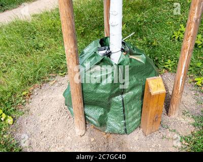 Bewässertüten für Bäume im Park Stockfoto