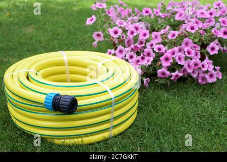 Kunststoff gelb aufgerollte Schlauch Rohr mit Anschluss auf dem Gras und Blumen Stockfoto