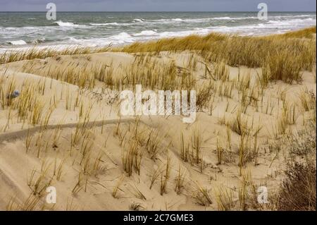 Sanddünen des Küstenstreifens, trockenes Gras auf dem Meer Sand Stockfoto