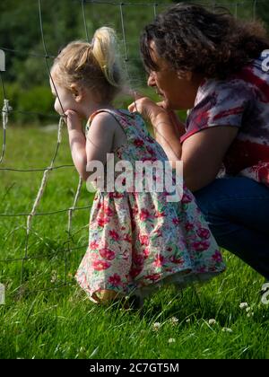 Kleinkind und Oma Blick auf Schafe durch Zaun, Großbritannien Stockfoto