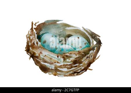 Drei blau gefleckte Eier im Nest isoliert auf weißem Hintergrund. Aquarell-Illustration von Wildvogelnest mit kleinen Eiern Stockfoto