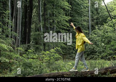 Brunette Mädchen ist zu Fuß entlang der Stamm eines gefallenen Baum. Frau fängt Balance auf einem Balken Stockfoto