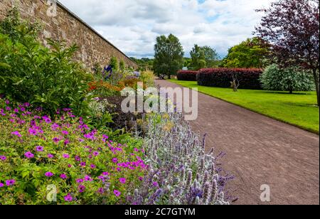 Bunte krautige Blumengrenze, Amisfield Walled Garden, Haddington, East Lothian, Schottland, Großbritannien Stockfoto