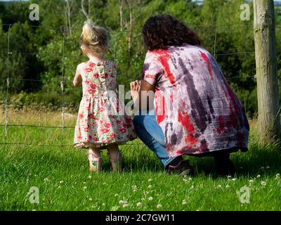 Erwachsene unterrichten Kleinkind über Schafe in einem Feld, Großbritannien Stockfoto