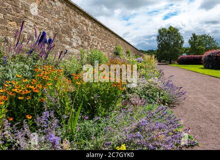 Bunte krautige Blumengrenze, Amisfield Walled Garden, Haddington, East Lothian, Schottland, Großbritannien Stockfoto