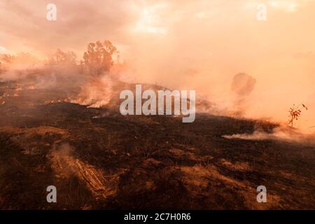 Bush Feuer, verbranntes schwarzes Land auf Hügel in Australien Stockfoto